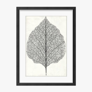 Framed Art