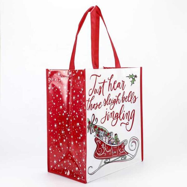 EcoGlam CarryAll - Image 2