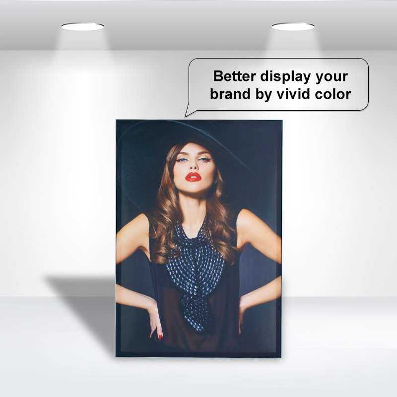 SEG Banner - Image 2